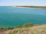 0004 matakana_island2_thumb.gif